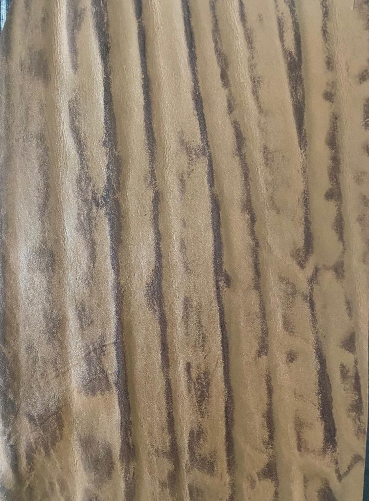 Special Leather Finishes